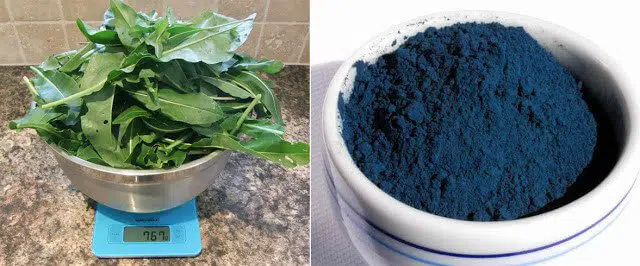 Рецепт вайдового мыла: натуральное окрашивание мыла в синий цвет